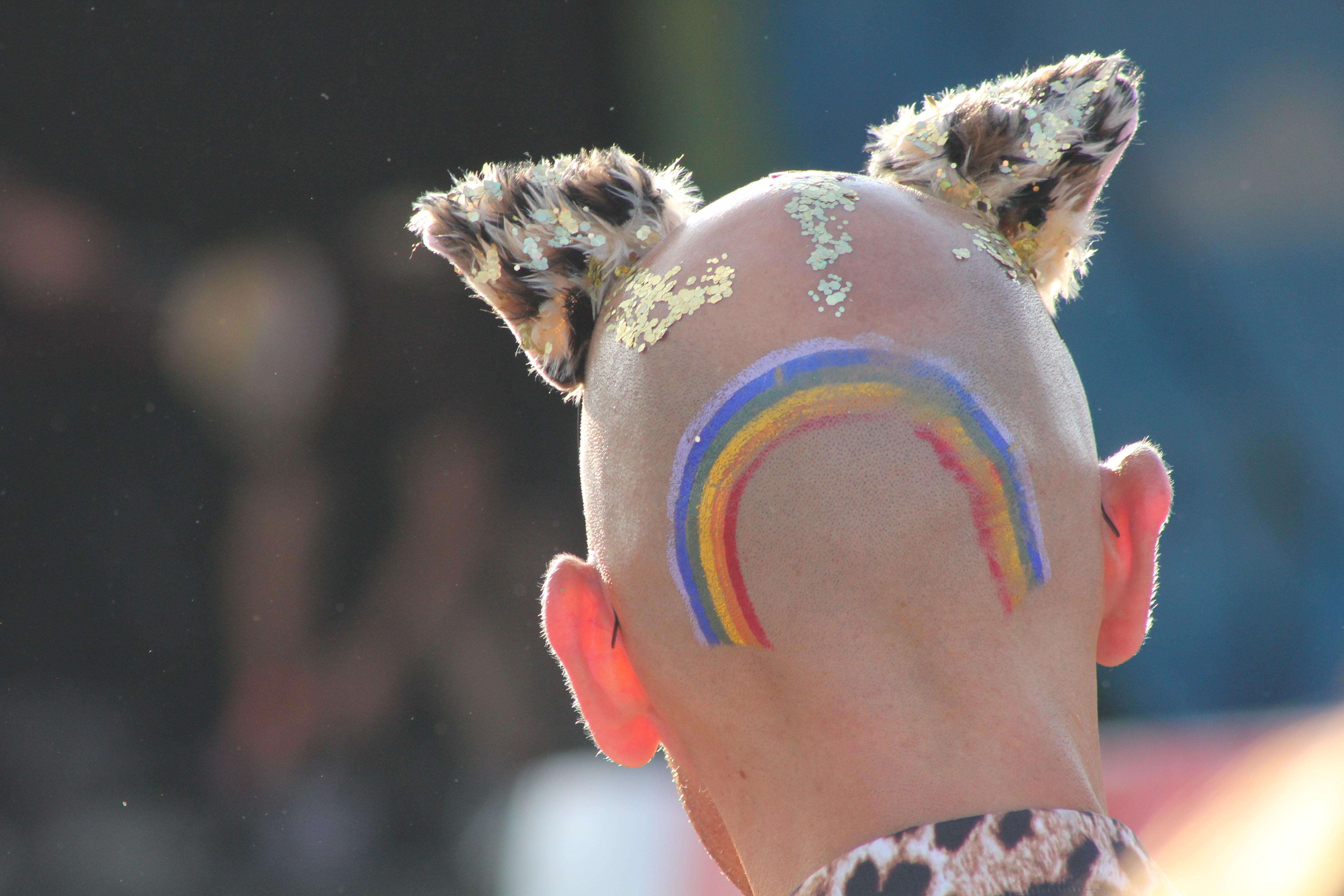 back of someone's head with a rainbow painted on it and who is also wearing cat ears