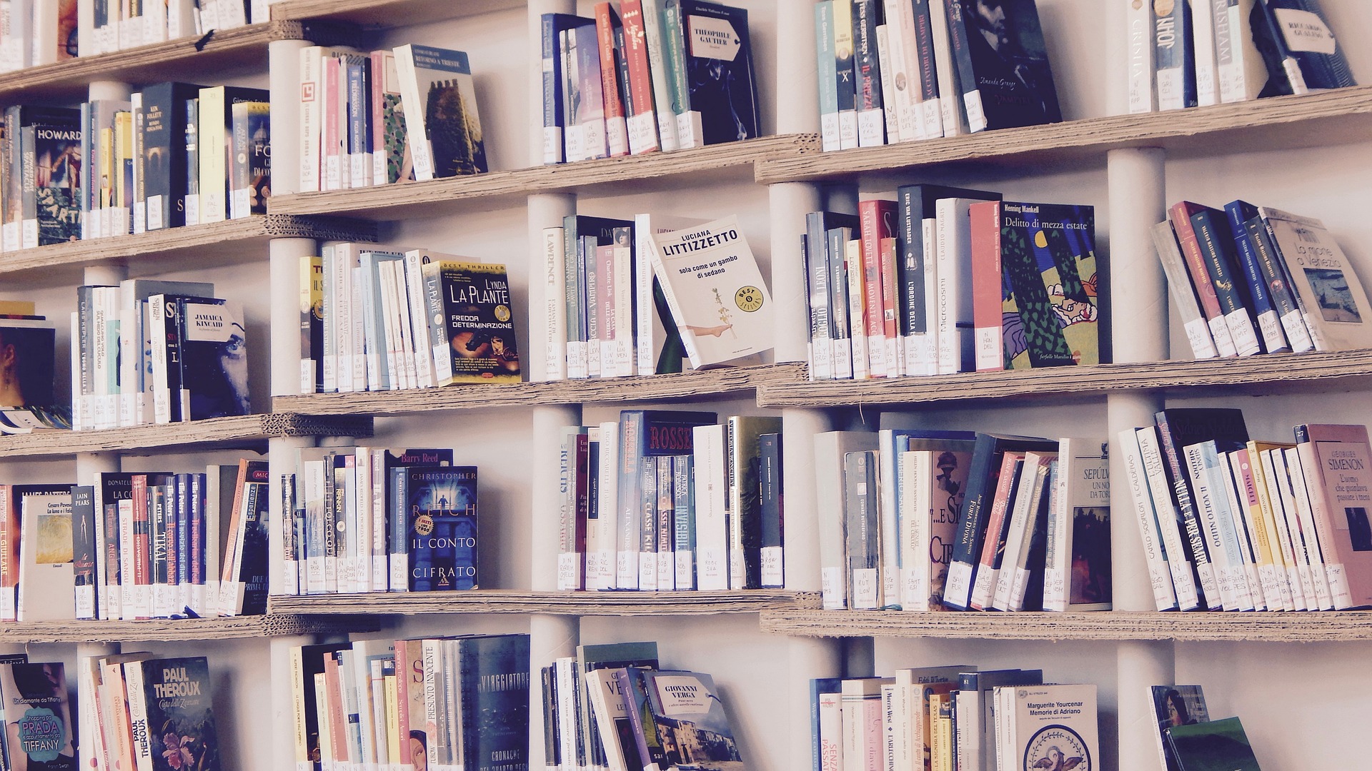 shelf of books