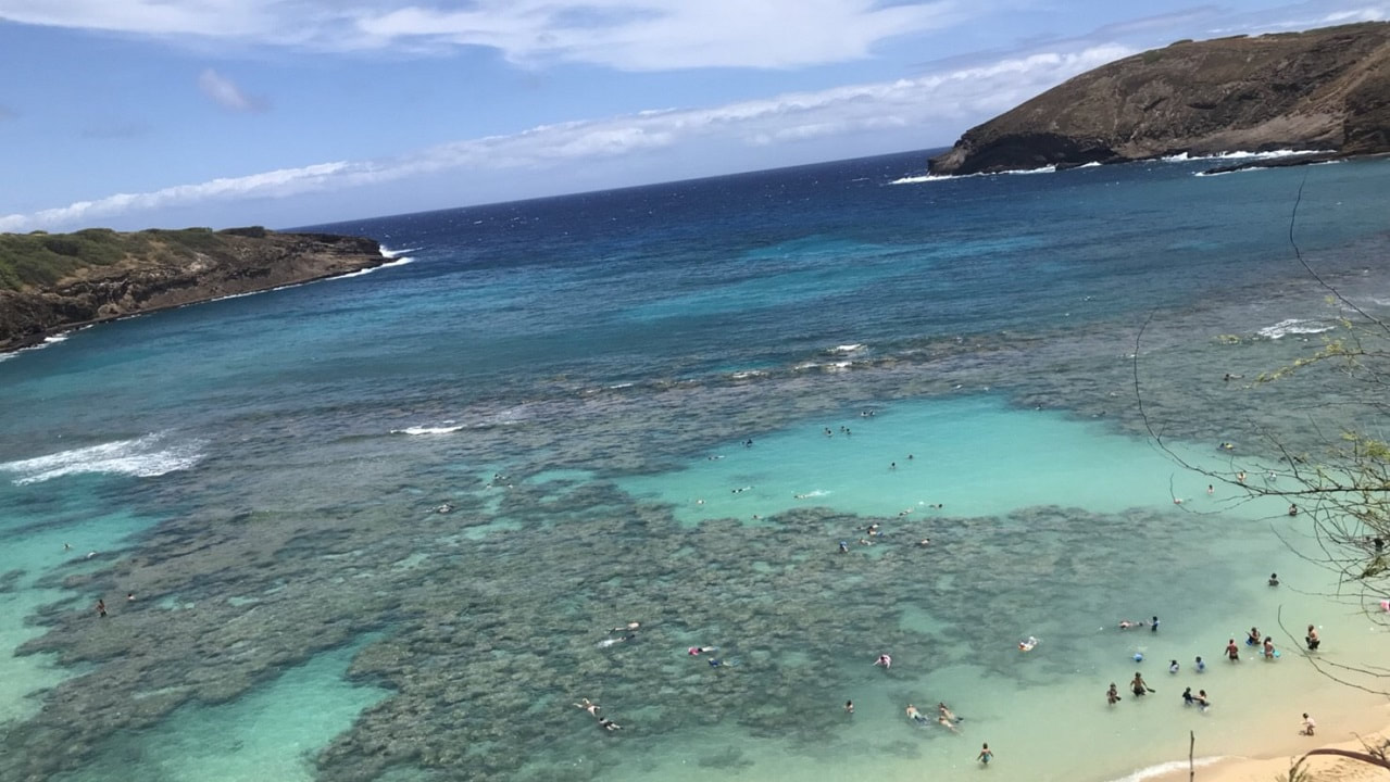 hawaii beach