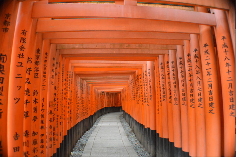 The red gates of kyoto